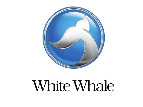 الخط الساخن لشركة white whale